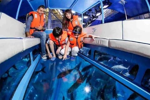 Glas båt och vattenskidåkning med transfer – Sharm El Sheikh