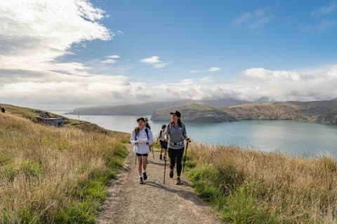 Half-Day Godley Head Coastal Hike from Christchurch
