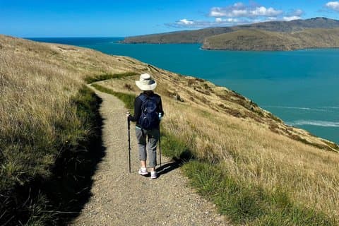 Privé halve dag Godley Head kustwandeling vanuit Christchurch
