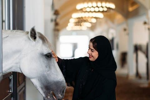Abu Dhabi Royal Equestrian Arts - guidet tur (mars - søndag)