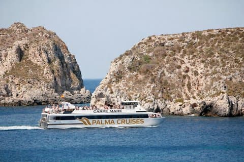 Dolphin Watch Cruise from Palma Explore the Mediterranean
