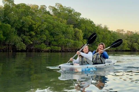 Tour in kayak al tramonto di Clearwater a Cooper's Bayou