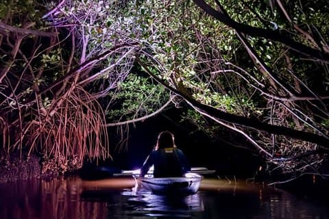 Clearwater Nighttime Glow Kayak Tour at Cooper's Bayou