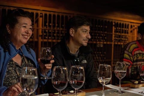 Viña Santa Rita Premium Tour & 5 Wine Tasting Small Group