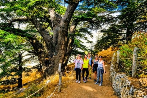 5-tägige Highlights der Libanon-Tour ab Beirut mit Abholung