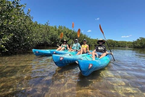 2 timmars Mangrove Maze Kayak Tour i Key West