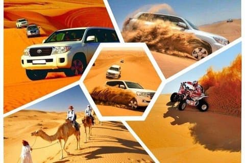 Doha: Half Day Desert Safari with Camel Ride and Inland Sea Tour
