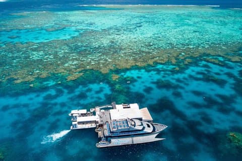 Quicksilver Ytre Great Barrier Reef Snorkel Cruise fra Palm Cove