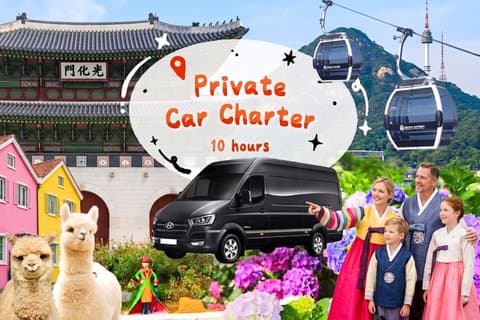 Tour privado personalizável de 10 horas com motorista de Seul