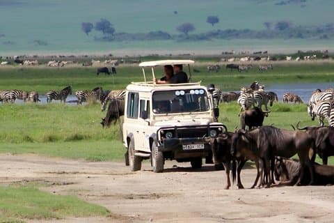 3 Day Private Luxury Masai Mara Safari Into the Wild in Style