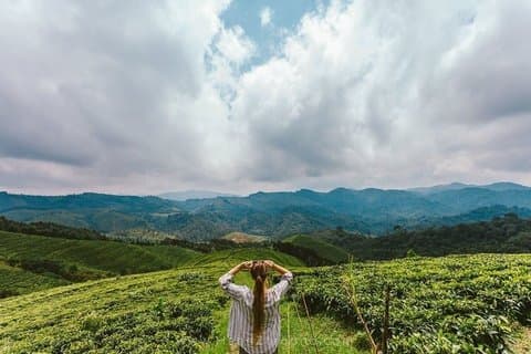 3-Day Eco-Spiritual Wellness Retreat in Gishwati