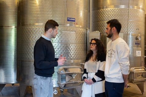 Oplev vinene fra Langhe med en privat tur og ekspert sommelier