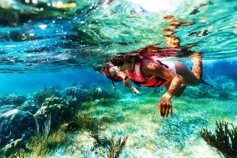 Fuld dag Reef snorkling, Cenotes, Zipline og Tequila smagning