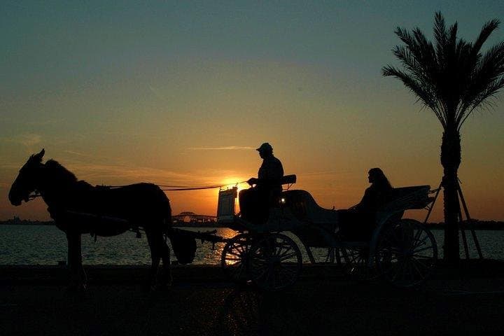 Aswan City Private Tour by Horse Carriage
