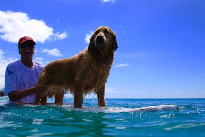 Surf Lessons on the North Shore of Oahu