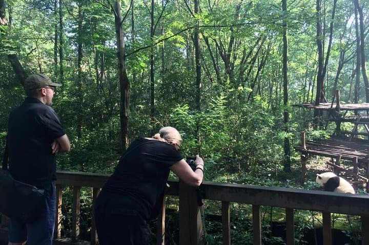 Private Day Tour: Visit Giant Pandas and Discover Shu Culture in Chengdu