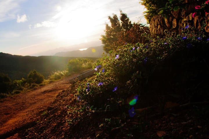 Camping in Knuckles Peak Trail (Private 1-Night)