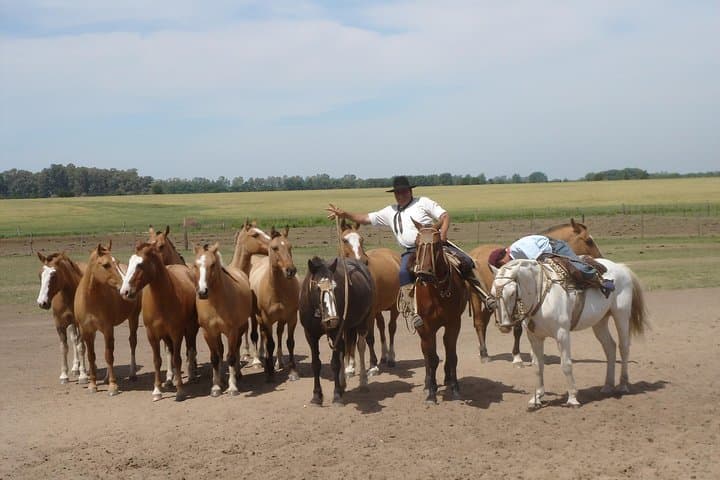 Ranch trip with private driver