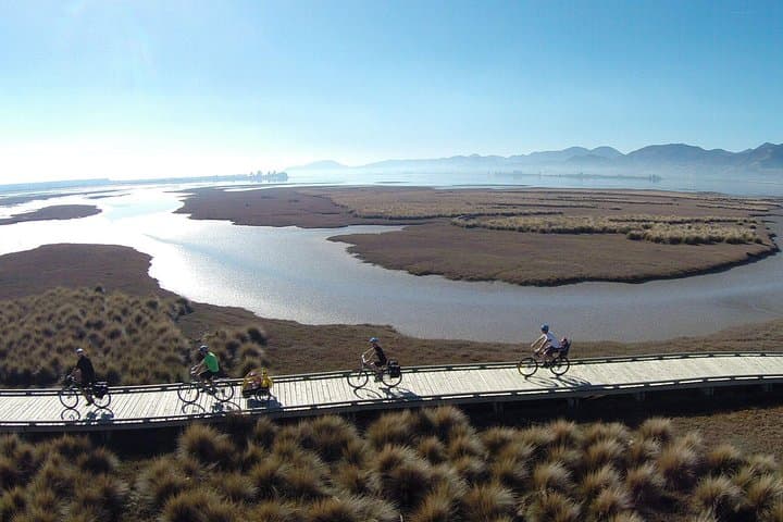 Nelson to Mapua: Full-Day Self-Guided Cycling Adventure