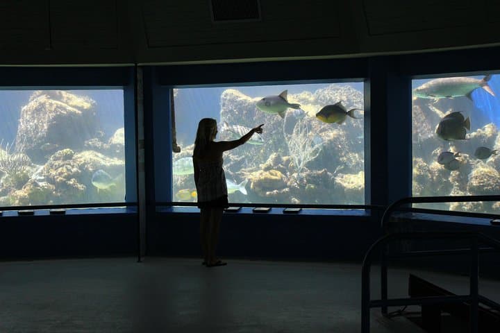 Coral World Ocean Park General Admission Ticket