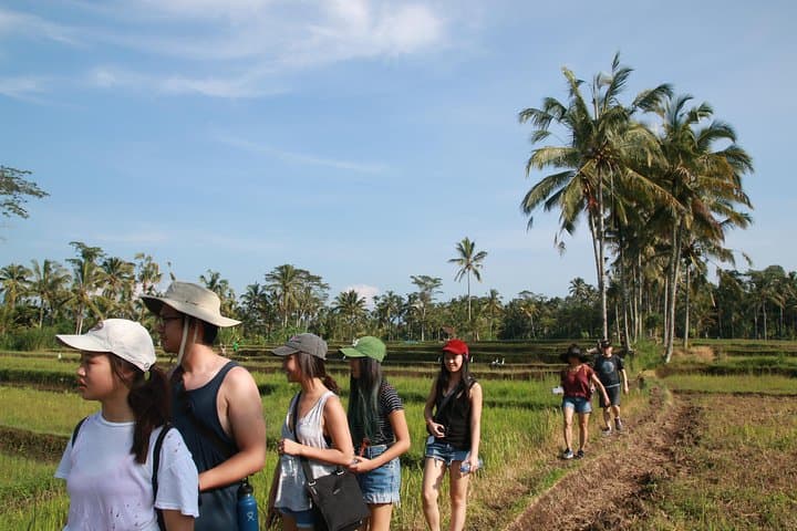 Trekking and Sightseeing tour with lunch