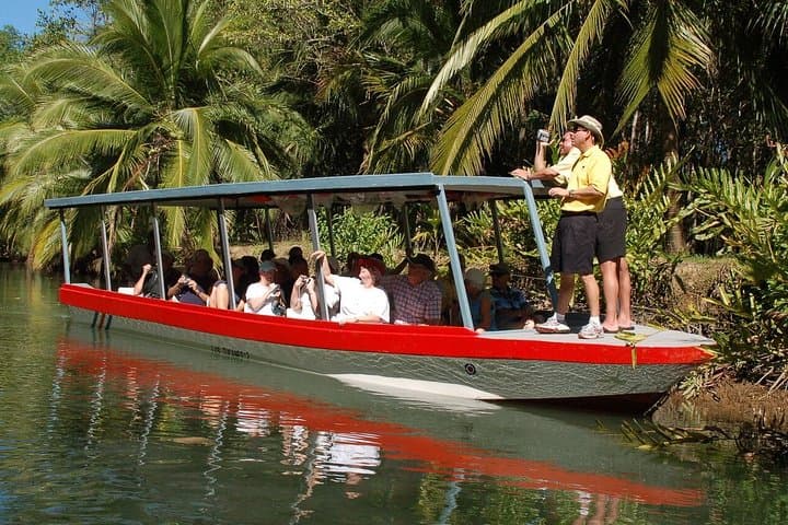 Damas Island Mangrove Boat Tour with Wildlife from Manuel Antonio