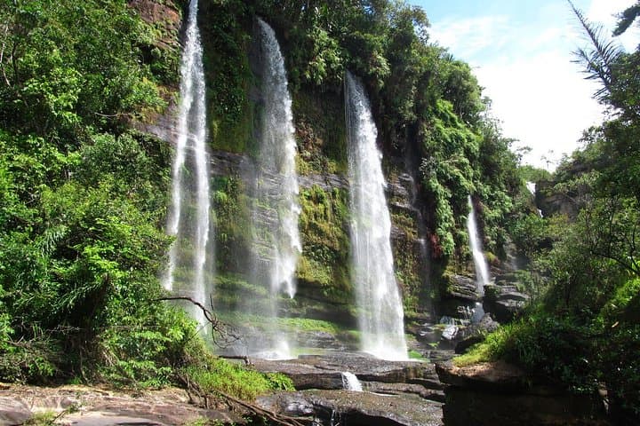 4-Day Jungle Tour to the Amazon from Bogota