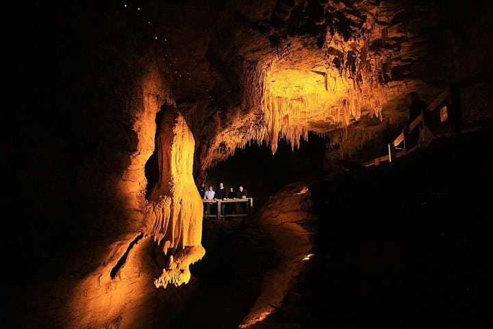 Waitomo & The Kiwi house Exclusive Luxury Day Tour from Auckland