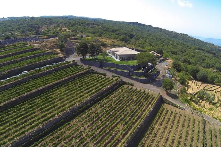 Etna Wine Tour by Land Rover from Taormina