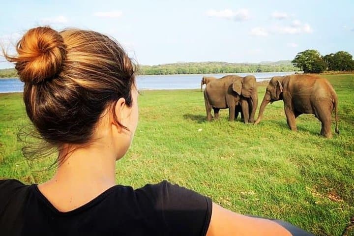 Minneriya national park safari with jeep From Kandy