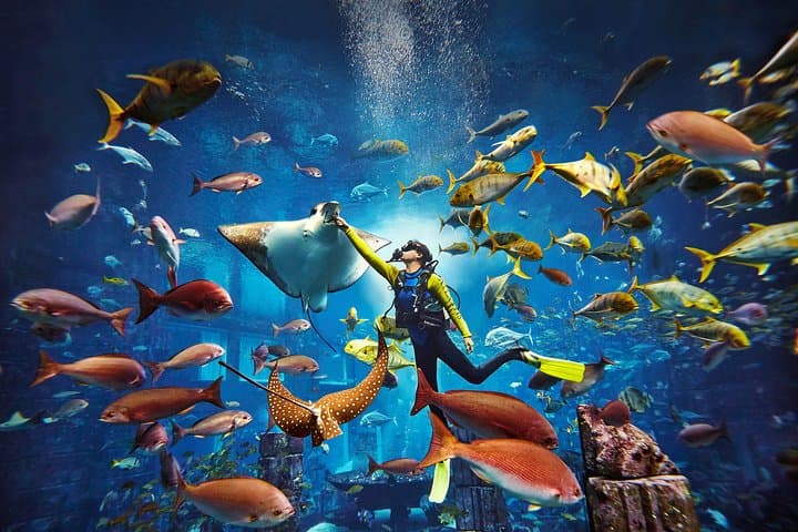 Dubai Lost Chambers Dive Explorer (Certification Required)