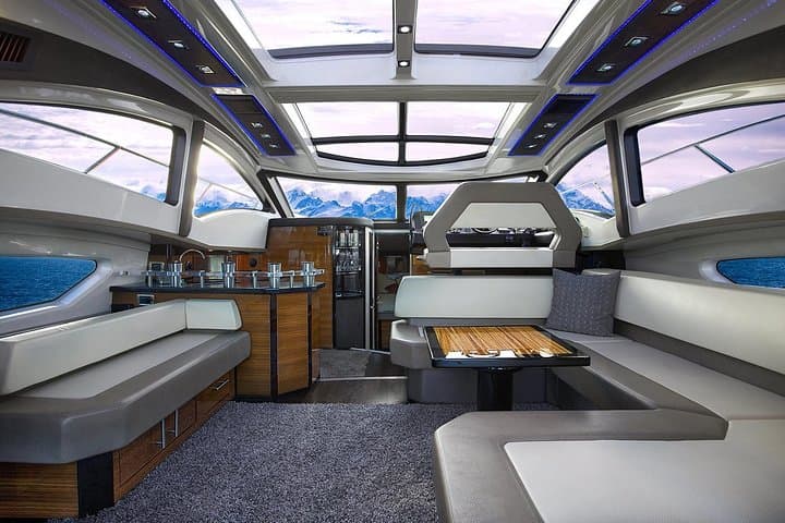 Private Luxury Whale Watch