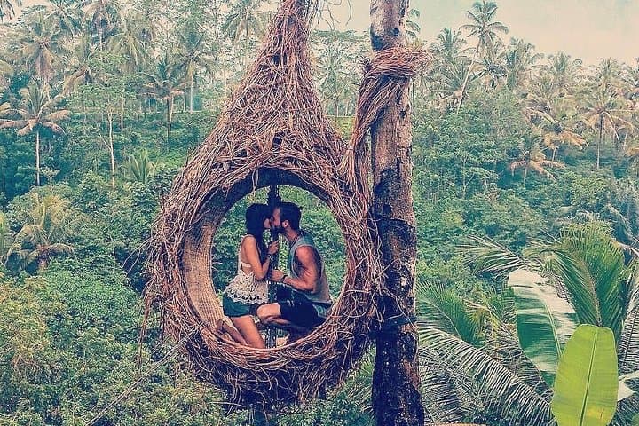 Combination ATV QUAD Bike Ride & Jungle Swing with Complimentary Lunch