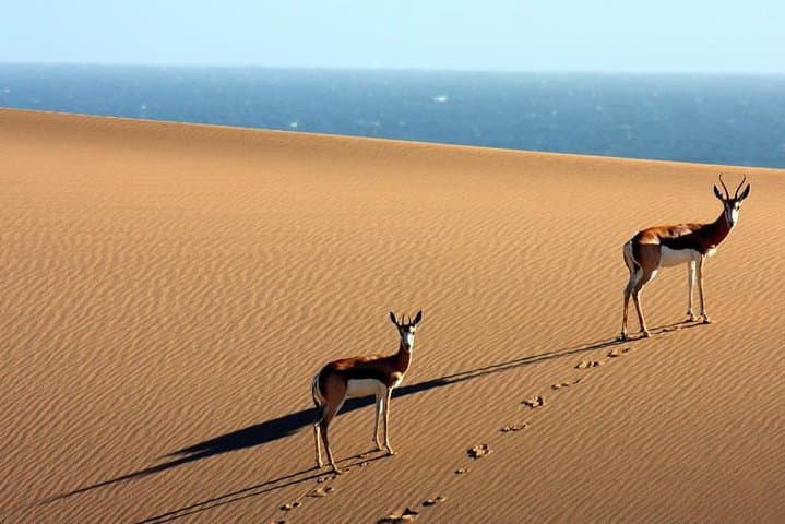 African Adventure Namibia