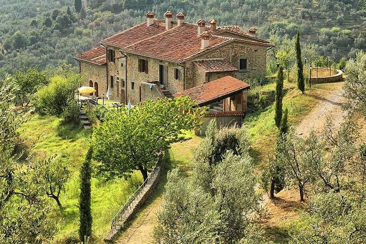 Leonardo Da Vinci 's Homeland - The Origin Of A Genius