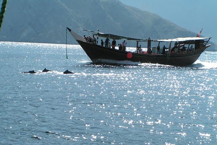 Dolphin Watching Cruise from Muscat