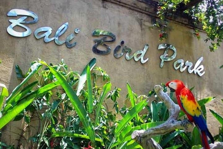 Private Tour Bali Bird Park And Ubud Tour