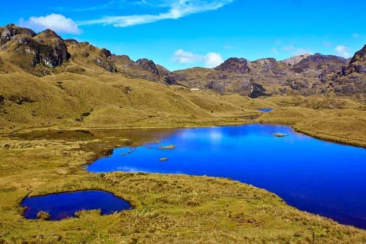 Shared Cajas National Park Half-Day Tour from Cuenca