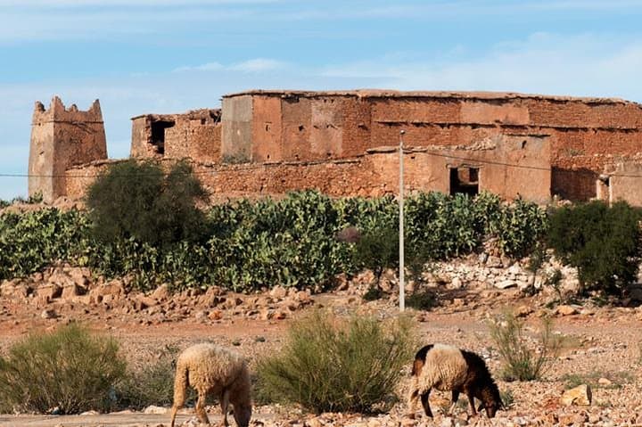 Offshore Amazigh Fortified Granaries