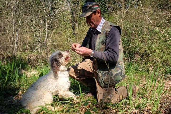 Private Truffle Hunting in Chianti from Florence