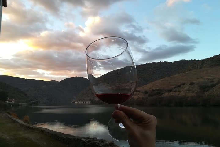 Full-Day Porto and Douro Valley Private Wine Tour with Lunch