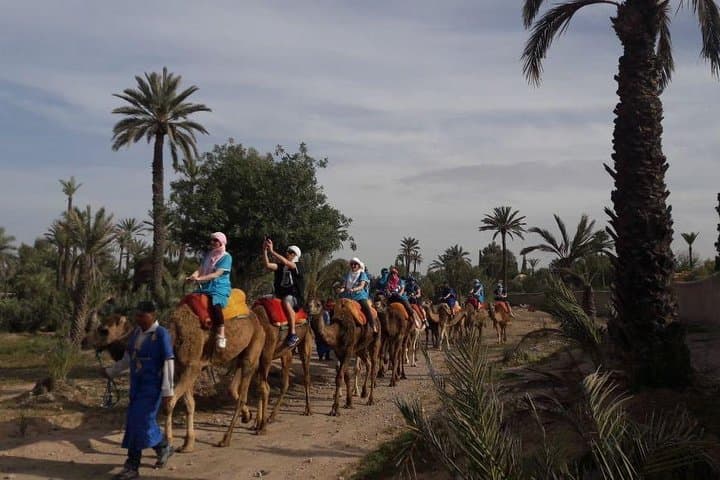 30 minutes Camel Tour