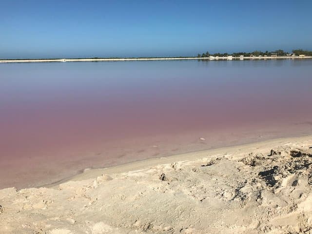 LAS COLORADAS & RIO LAGARTOS from Riviera Maya and Cancun (Private)