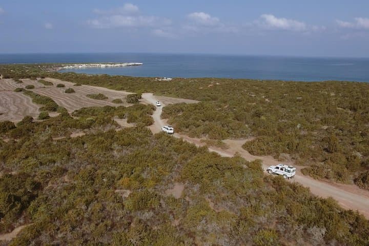 Jeep Safari Akamas from Paphos