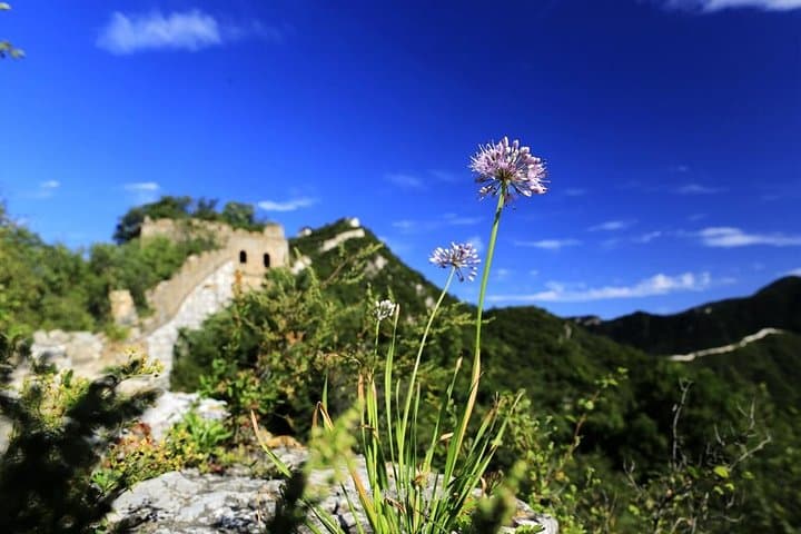 Private Great Wall Hiking from Jiankou to Mutianyu