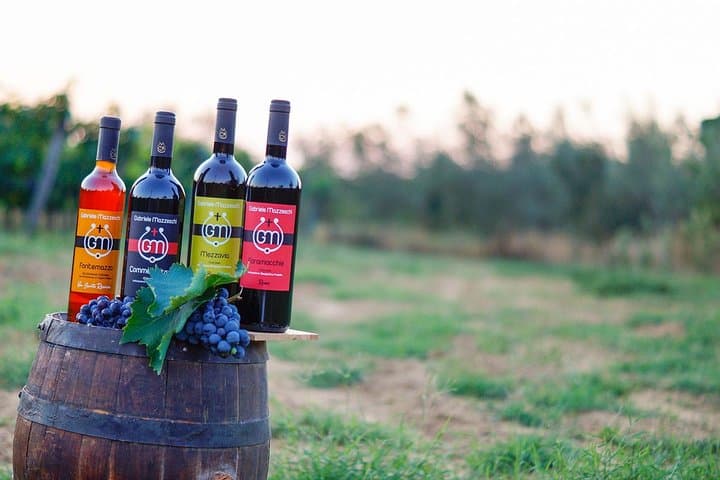 Wine & Oil Tasting Experience