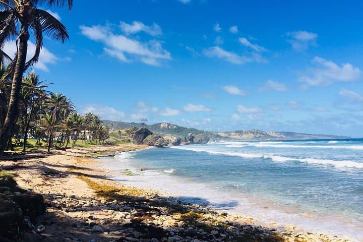 Private Half-Day Barbados Excursion