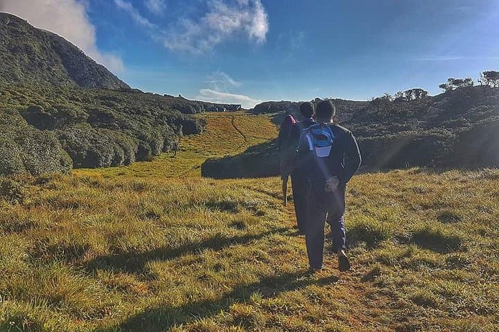 Chariot Path Hiking