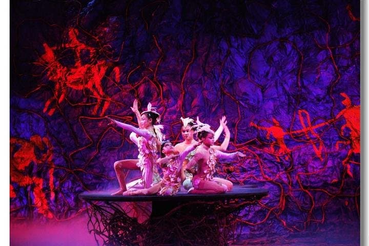 Beijing Acrobatics Night Show