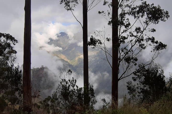 Private Tour Jardim da Serra Halfday